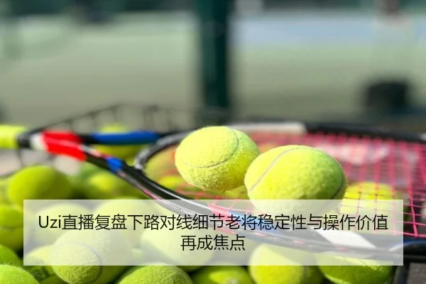 Uzi直播复盘下路对线细节老将稳定性与操作价值再成焦点