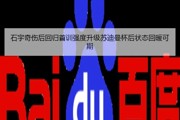 石宇奇伤后回归首训强度升级苏迪曼杯后状态回暖可期